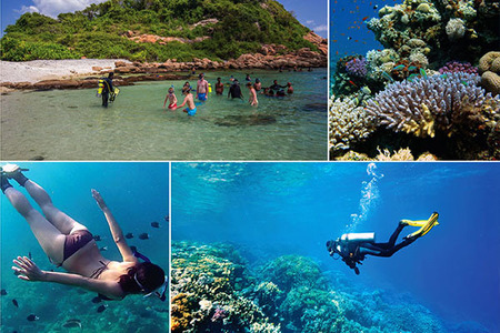 Diving underwater activities in Sri Lanka Diving underwater activities in Sri Lanka